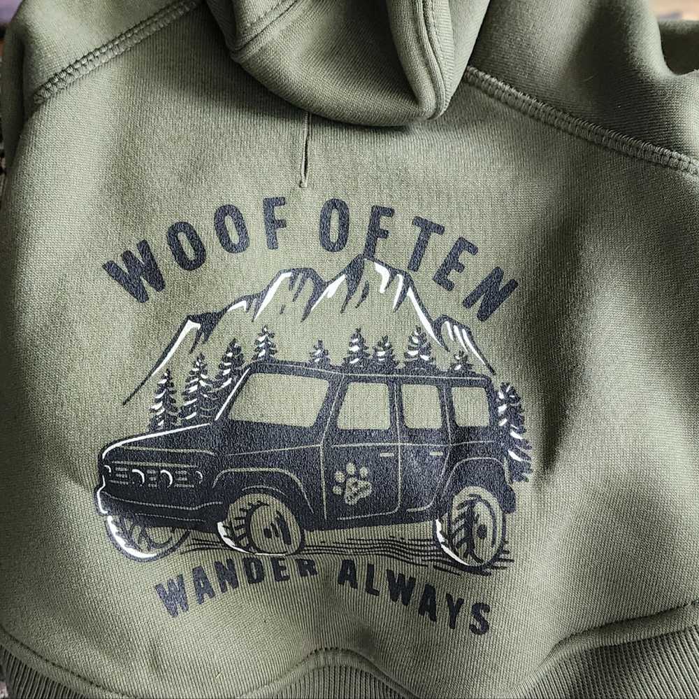 Green Graphic Hoodie For Dog